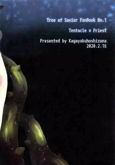 (ShotaFes 5) [Kagayaku Hoshizuna (Miyu)] origin (Tree of Savior) [Chinese]