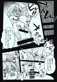 (C81) [S+y] She is a graceful beauty (Touhou Project)