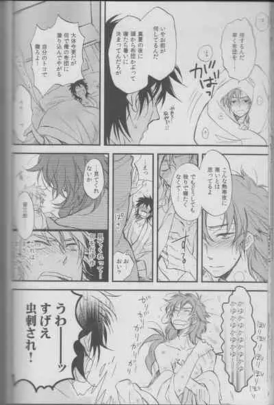 REMIX 02 2009‐2011