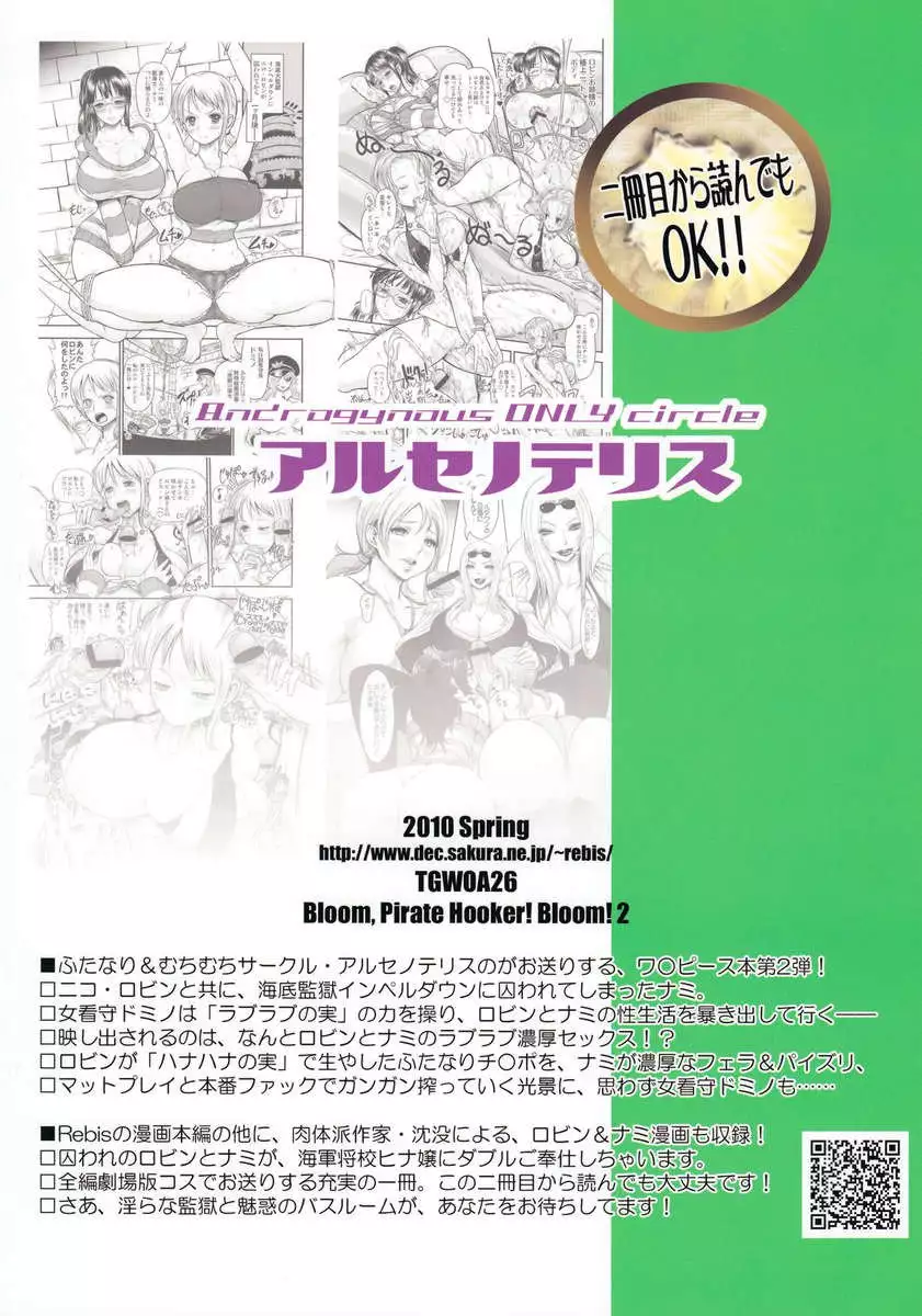 Midare Saki Joshuu Kaizoku 2