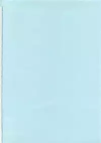 [Masaki Shinji] Daisenkou ~ Shin Dokuhime no Mitsu