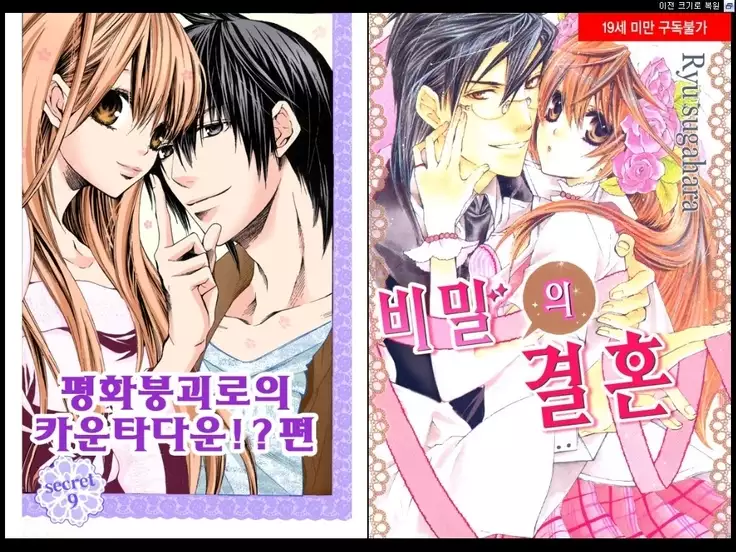 Naisho no Love Mariage | 비밀의 결혼