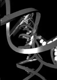 [John K. Pe-ta] Monzetsu Caligula Machine [English] [TCup] [Decensored]