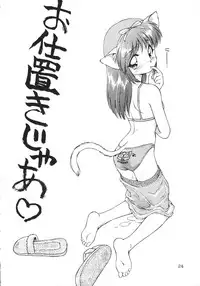 (C53) [Dedepoppo (Ebifly, Neriwasabi)] Uwasa no Neko Shuukai