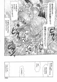 (C69) [Acid Noel (Mitsuki Rintarou)] Icon (GUN X SWORD)