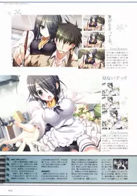 Sakura Sakura Visual Fan Book