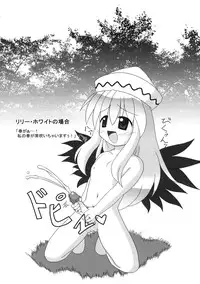 (C68) [Mirabilien Fabrik (Various)] Touhou Sourenge (Touhou Project)