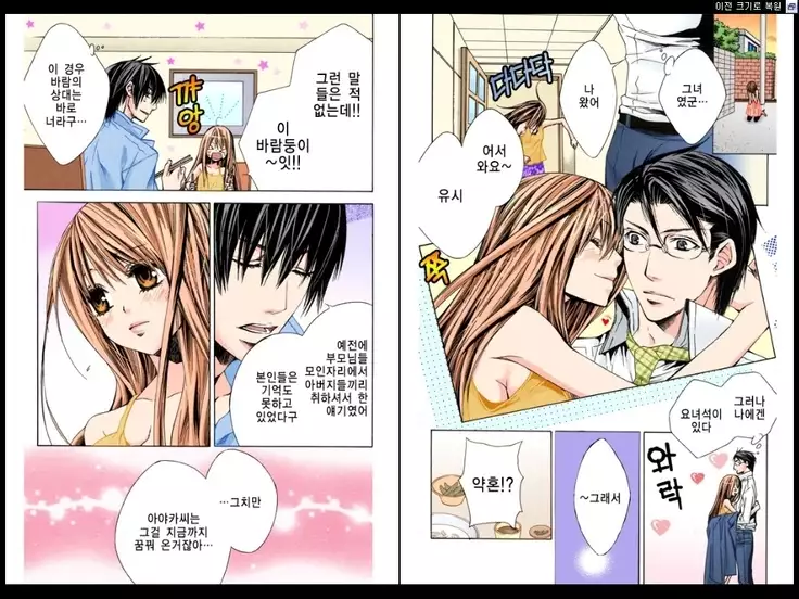 Naisho no Love Mariage | 비밀의 결혼