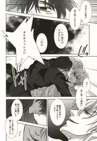 (C81) [Einsatz (snb)] The Apocalypse ~Mokushiroku~ (Fate/Zero)