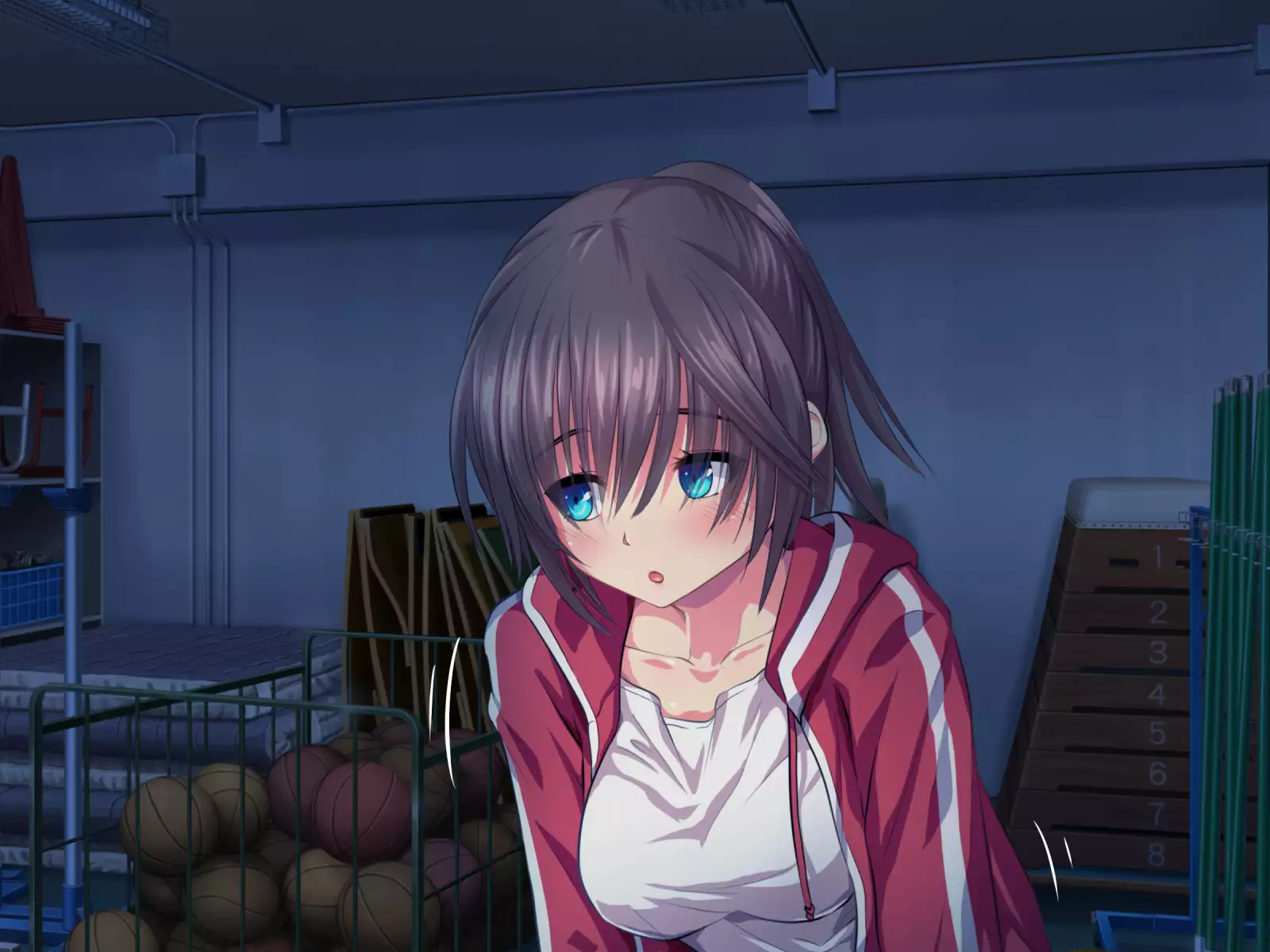 Kotori to Tsubasa to Icha Hame Online