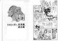 [Global One (MARO)] Shalader Vol. 2 - The Past and the Future