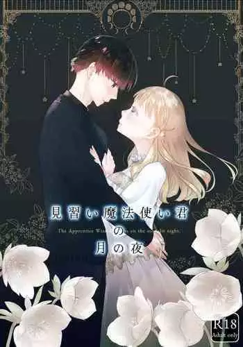 [Aoiro Kansokujo (Nakahara Mizuimo)] Minarai Mahoutsukai-kun no Tsuki no Yoru - The Apprentice Wizard is on the moonlit night.