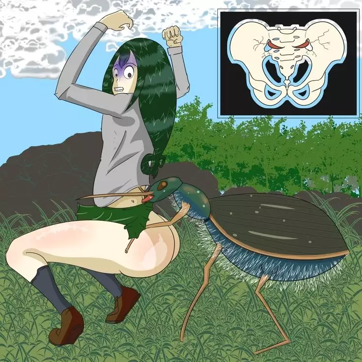 The nature of life part2