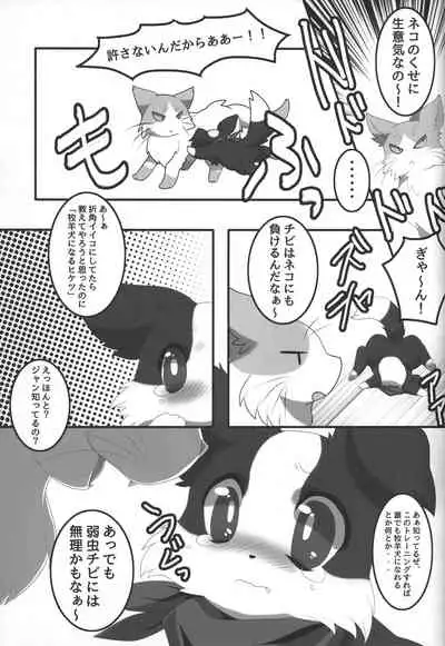 (Kansai! Kemoket 3) [PPOINO! (Various)] Boda kon