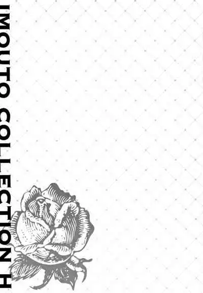 IMOUTO COLLECTION H
