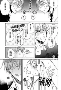 [Summer dogday (Y.tea)] Double Darling (Kuroko no Basuke) [Chinese]