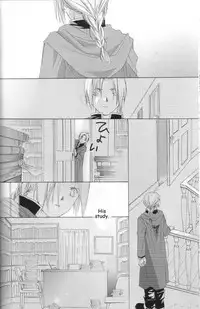 [Ronno & Kalus (Takada Bambi)] Hermaphrodite 3 (Fullmetal Alchemist) [English] [Secret Garden]