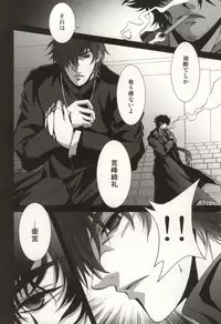 (C81) [Einsatz (snb)] The Apocalypse ~Mokushiroku~ (Fate/Zero)