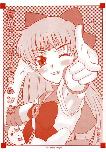 [sailor moon]Naze ni Imasera Seramun Hon