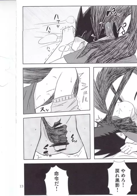 ぼくのラブバード