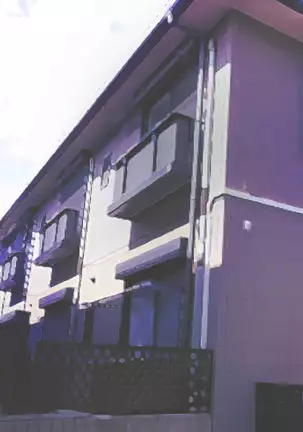 Seiki Matching Appli de Gal to Soku Hame Haramase H