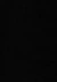 (C90) [Inaka no Yasaiya (Hubrael)] Shigan no Kioku (Touhou Project)