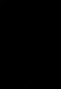 (C84) [Waffle Doumeiken (Tanaka Decilitre)] Fake Lovers (Nisekoi)