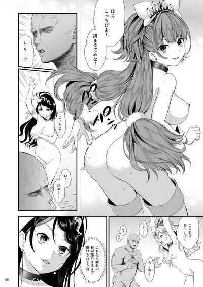 [Yamada Ichizoku. (Mokyu, Fukurokouji)] Seidorei Senki Soushuuhen (Go! Princess PreCure)