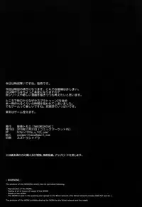 (C95) [NANIMOSHINAI (Sasamori Tomoe)] Succubus Stayed Life 9