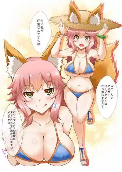 FACTORY OF NEKOI 02 Danzou to Tamamo no Soapland