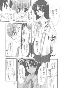 (C76) [Kuroneko-kan, Tyatsune (Muririn, Kobuichi)] Josou Danshi no Hon