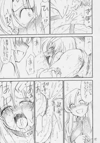 (C70) [EINSATZ GRUPPE (Charlie Nishinaka)] PRISONER 8 Miserable Birds (Gundam SEED DESTINY)