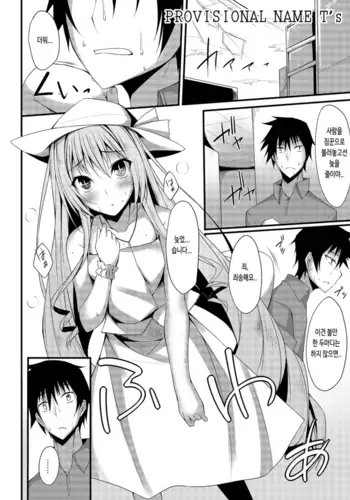 PROVISIONAL NAME T's