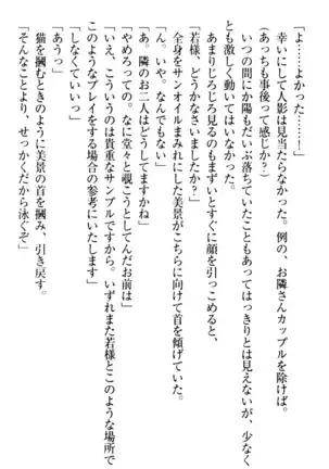 年上メイドの新婚日記