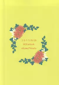 (RTS!!5) [Adash (Ichiko)] Hina Chichi (Haikyuu!!)