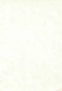 [Miniature Magic (Saikawa Akoya, Kamikaze Makoto)] Okosama Lunch 5 (Various)