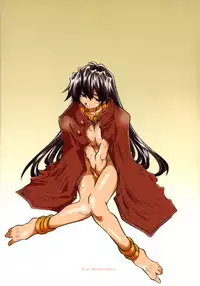 [OPEN BOOK (Toumi Haruka)] Dive Into The Night (Scrapped Princess)