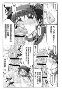 (C90) [Abarenbow Tengu (Izumi Yuujiro)] Kotori 13 (Fate/stay Night) [Chinese] [屏幕髒了漢化組]