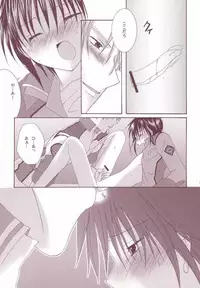 [LOVESEAT (Yuhka, Michiyo)] Perfect Crime #1 (Gundam SEED)