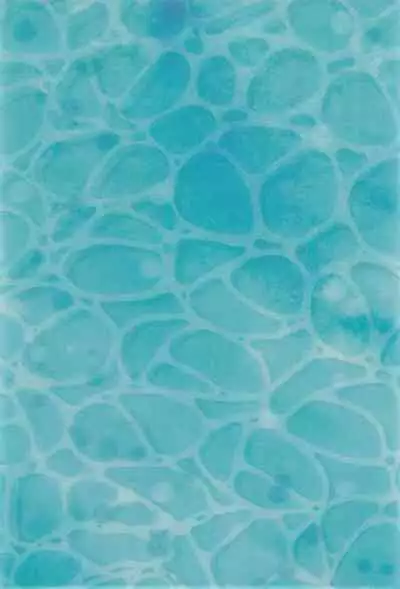 TS Elf Hime no Kozukuri Quest