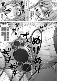 [RH Minus] Chitsu Hakai-kei Joshi 3 [Chinese] [贝尔西行寺个人汉化] [Digital]