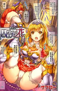 [Saburou] Toraware no Hana (COMIC Shitsurakuten 2014-10) [Chinese] [無邪気漢化組]