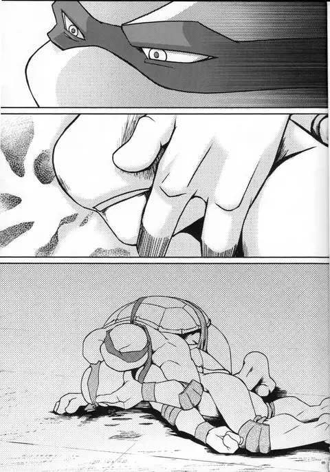 FALLEN - Raph vs Leo - Teenage Mutant Ninja Turtles, TMNT doujinshi