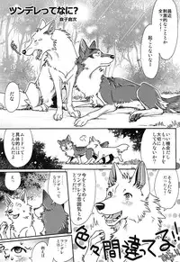 (Kansai! Kemoket 2) [KTQ48 (Various)] KTQ 5