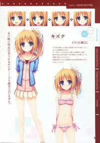 [Tigre Soft] Reminiscence Re：Collect Souki Yoyaku Tokuten Settei Shiryou Shuu