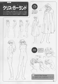 Super Real Mahjong Visual Fan Book Perfect Collection