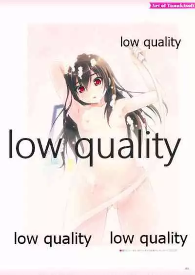 Nonohara Miki artworks De Historia Puellarum