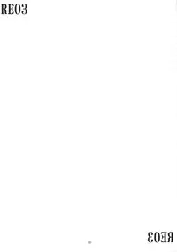 (C70) [RUBBISH Selecting Squad (Namonashi)] RE03 (Fate/stay night)