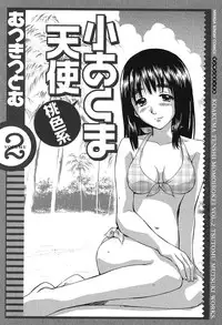 [Mutsuki Tsutomu] Koakuma Tenshi Momoirokei Vol. 2