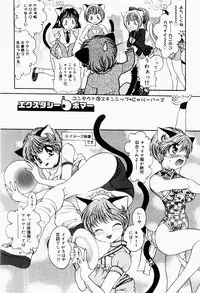 [Matsutou Tomoki] Ecstasy Bomber